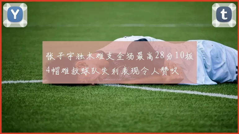 张子宇独木难支全场最高28分10板4帽难救球队失利表现令人赞叹